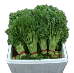蔬菜泡沫箱